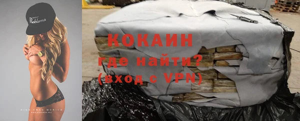 гидра Белокуриха