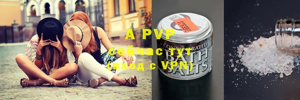 apvp Снежногорск
