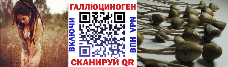 Псилоцибиновые грибы MAGIC MUSHROOMS  где купить наркотик  Верхняя Тура 